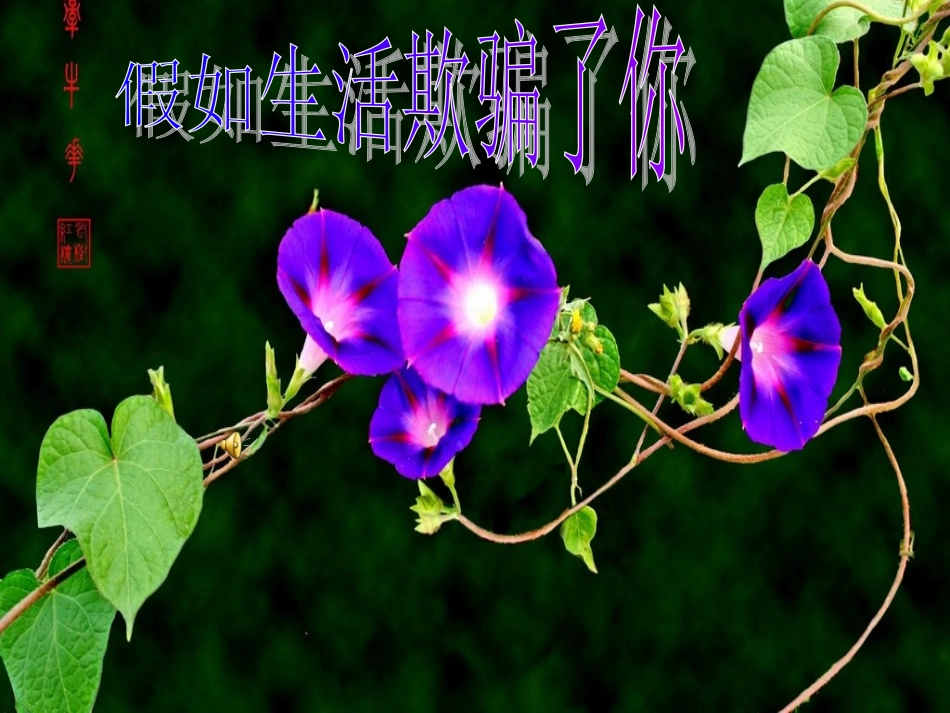 假如生活欺骗了你 (3)_第1页