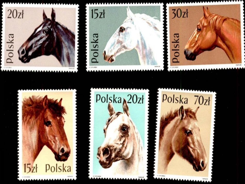 《邮票齿孔的故事》教学课件2_第3页