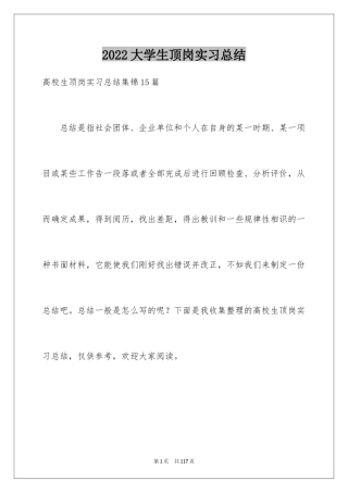 2024大学生顶岗实习总结_5