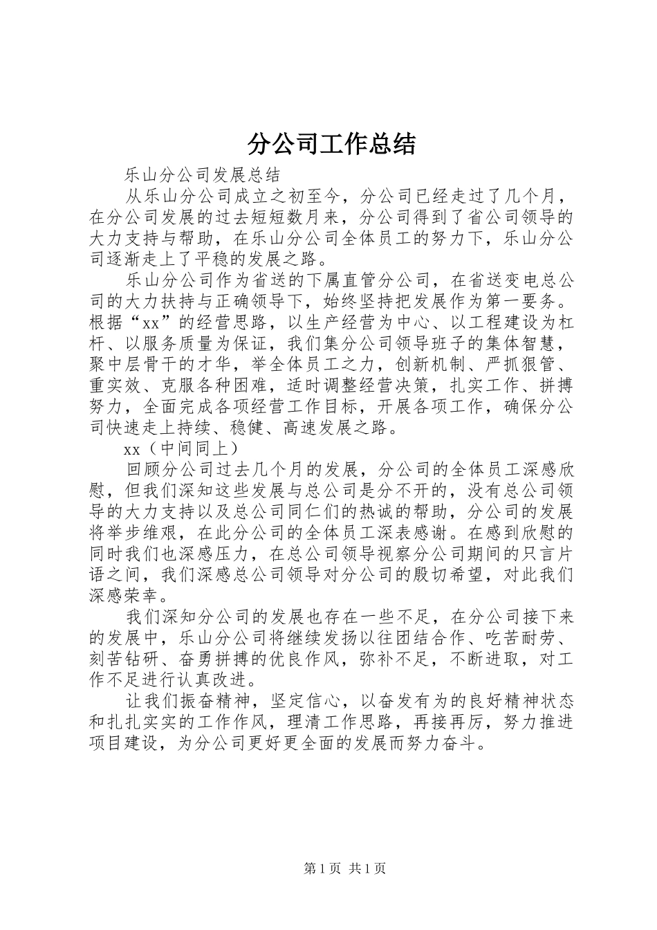 分公司工作总结 _第1页