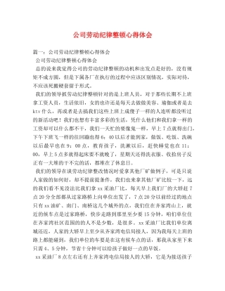 公司劳动纪律整顿心得体会 (000001)