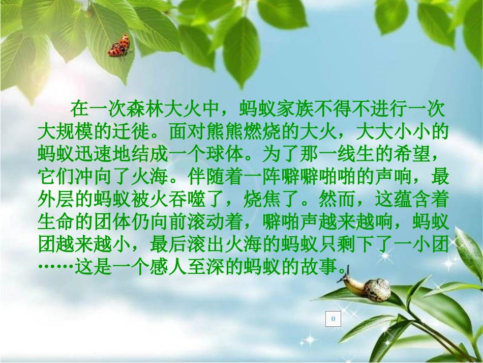 《斑羚飞度》_第2页