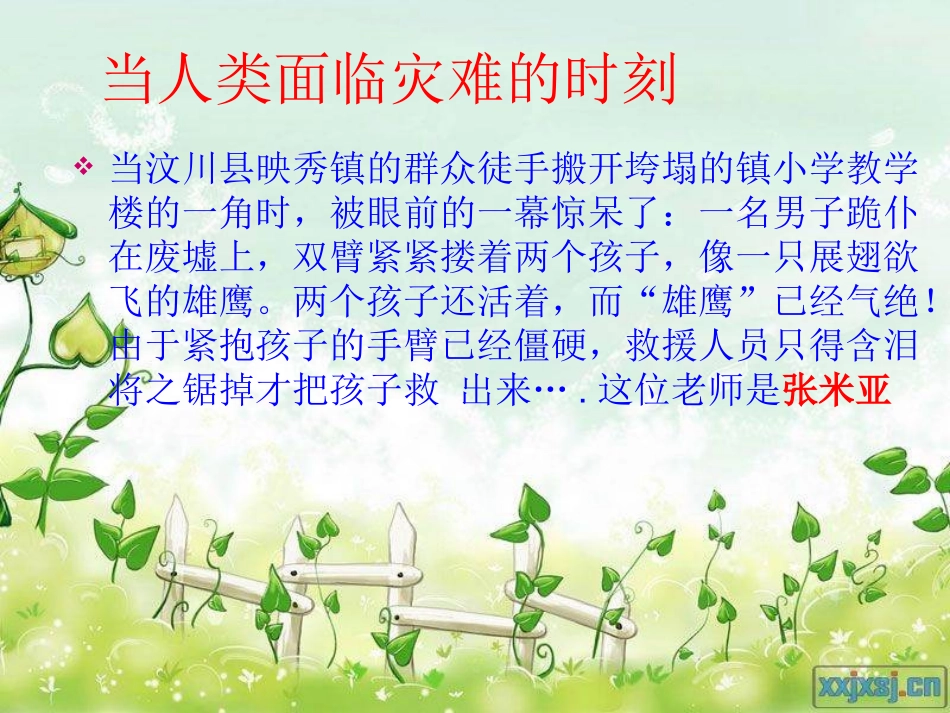 《斑羚飞度》_第3页
