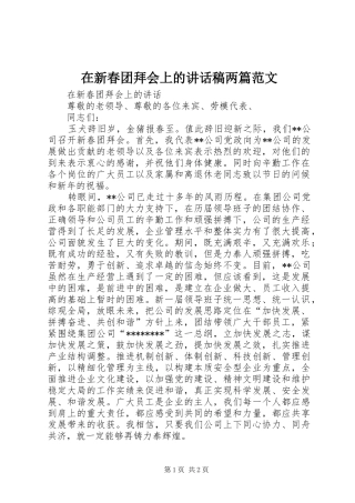 在新春团拜会上讲话发言稿两篇范文