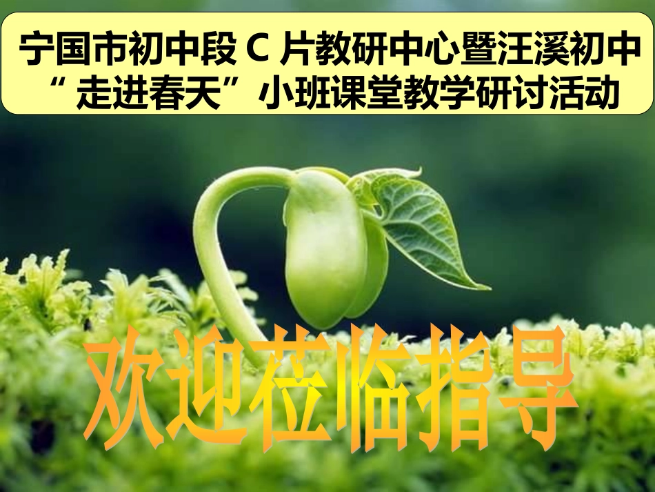 初中二年级生物下册第22章物种的多样性第2节植物的主要类群第一课时课件_第1页