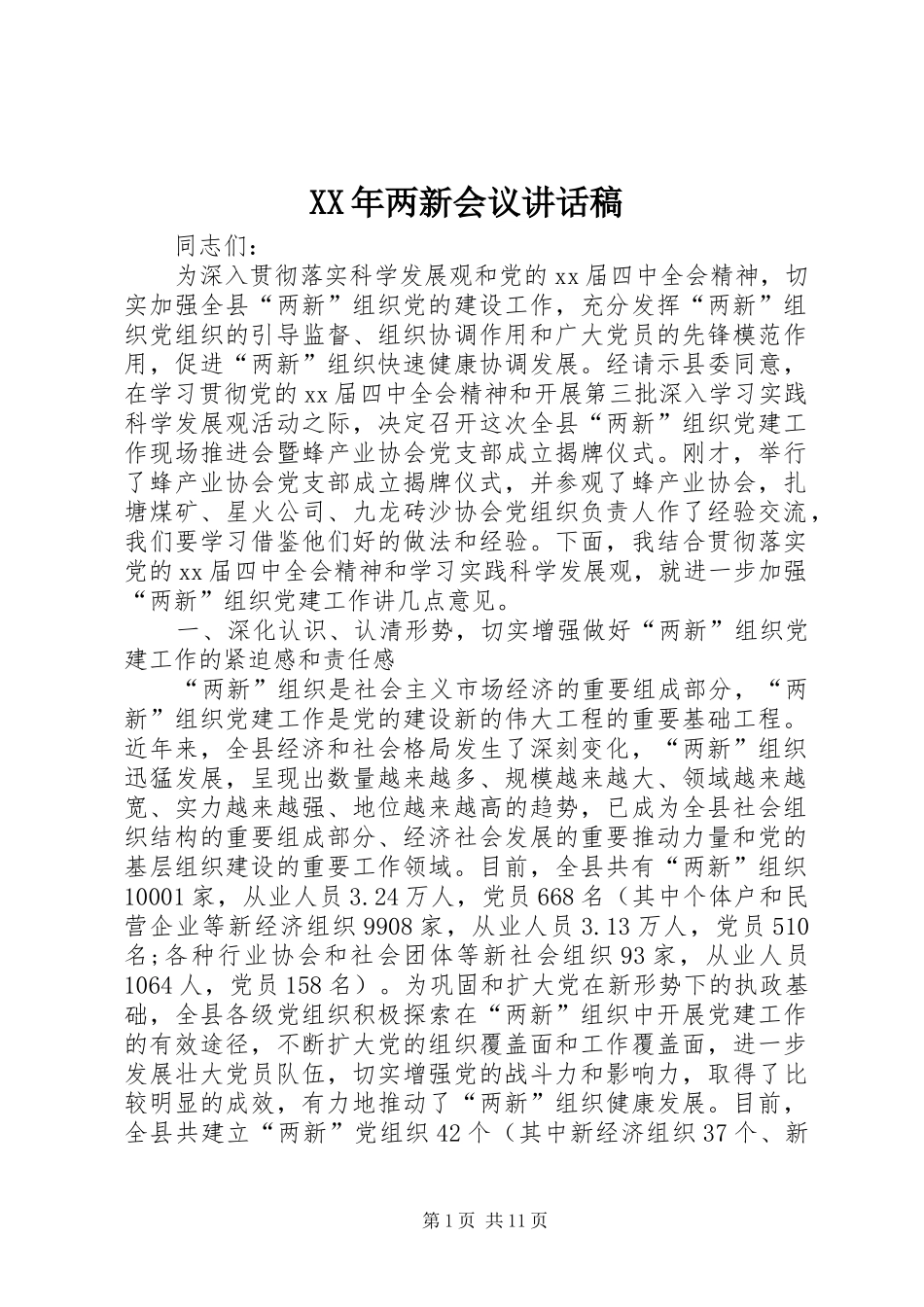 XX年两新会议讲话发言稿_第1页