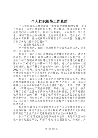 个人挂职锻炼工作总结 