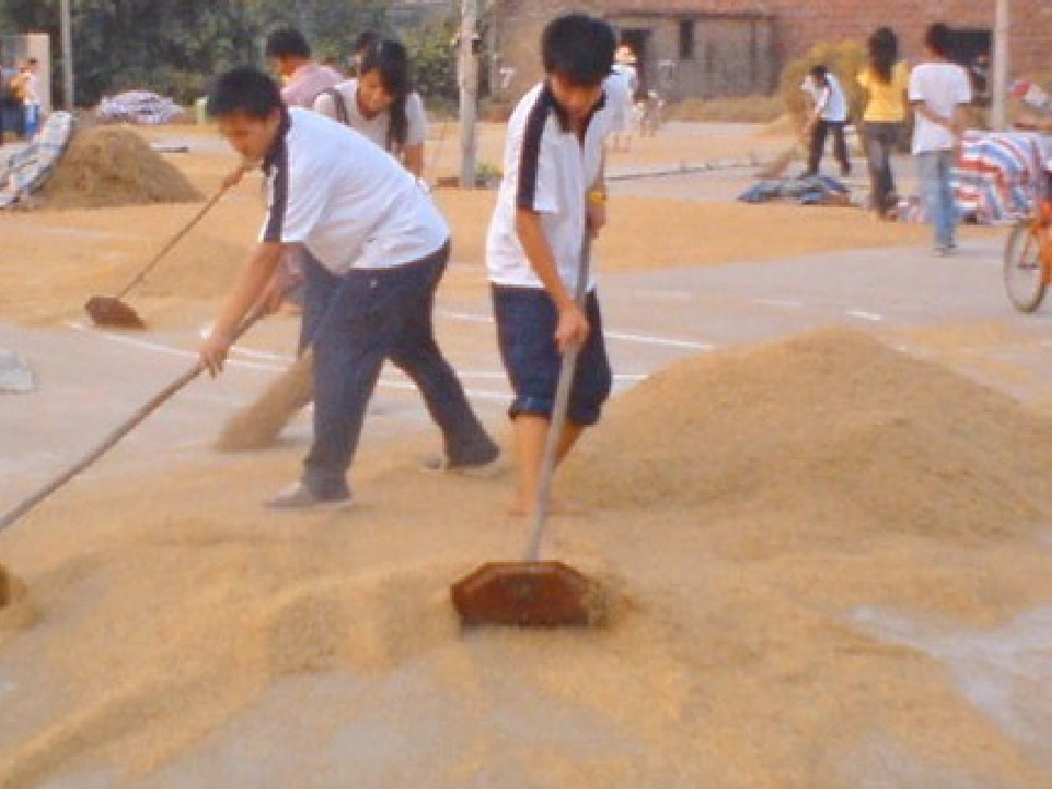 苏教版六年级圆锥的体积_第2页
