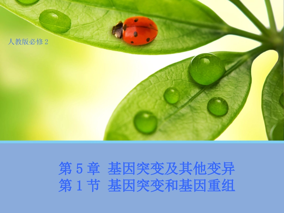 【生物】51基因突变和基因重组课件2（人教版必修2）_第1页