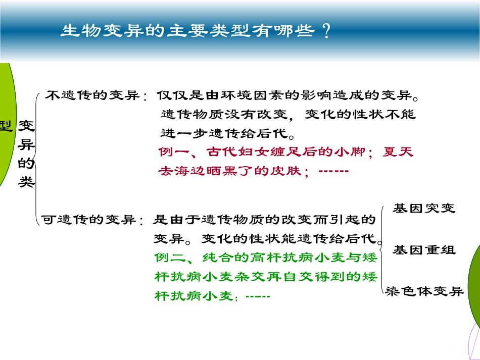 【生物】51基因突变和基因重组课件2（人教版必修2）_第2页