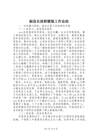 副县长挂职锻炼工作总结 