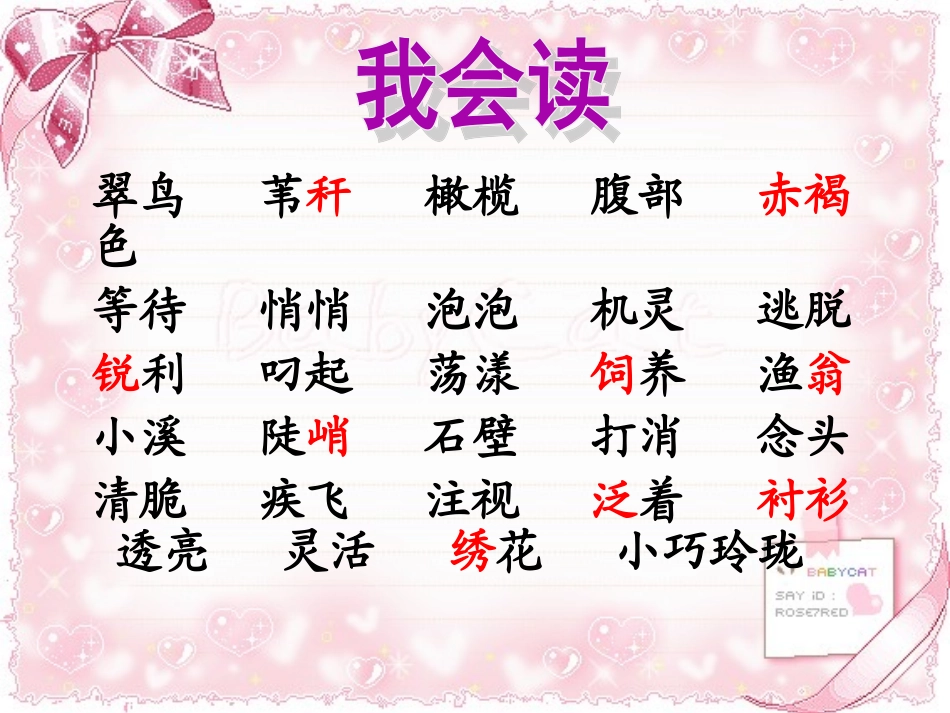 语文S版三年级下册第五课《翠鸟》课件_第3页