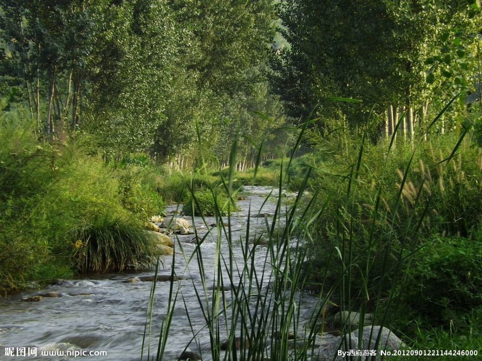 园地二（环保主题作文）_第2页