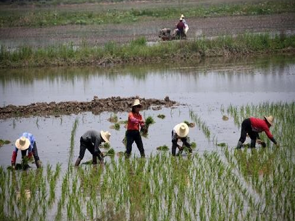 刘莉节俭课件_第2页