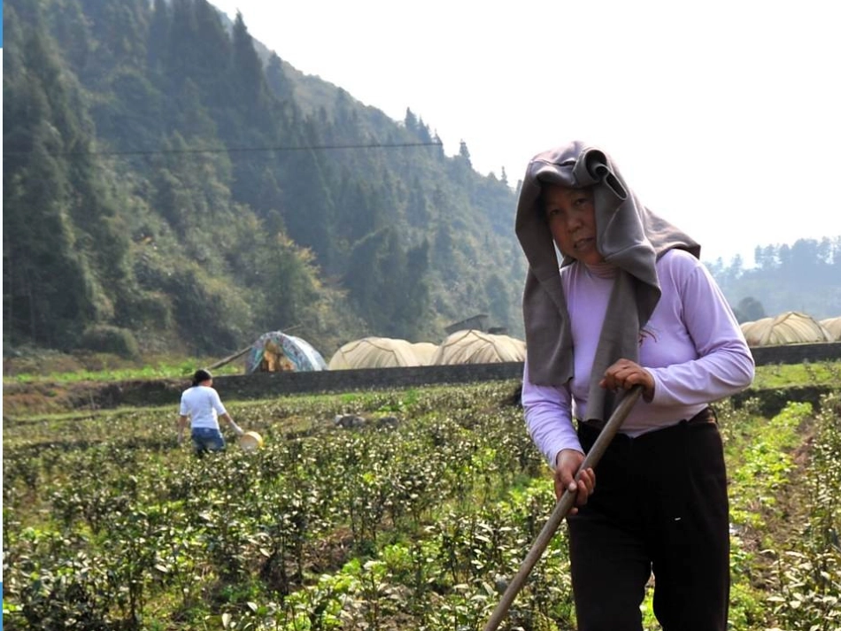 刘莉节俭课件_第3页