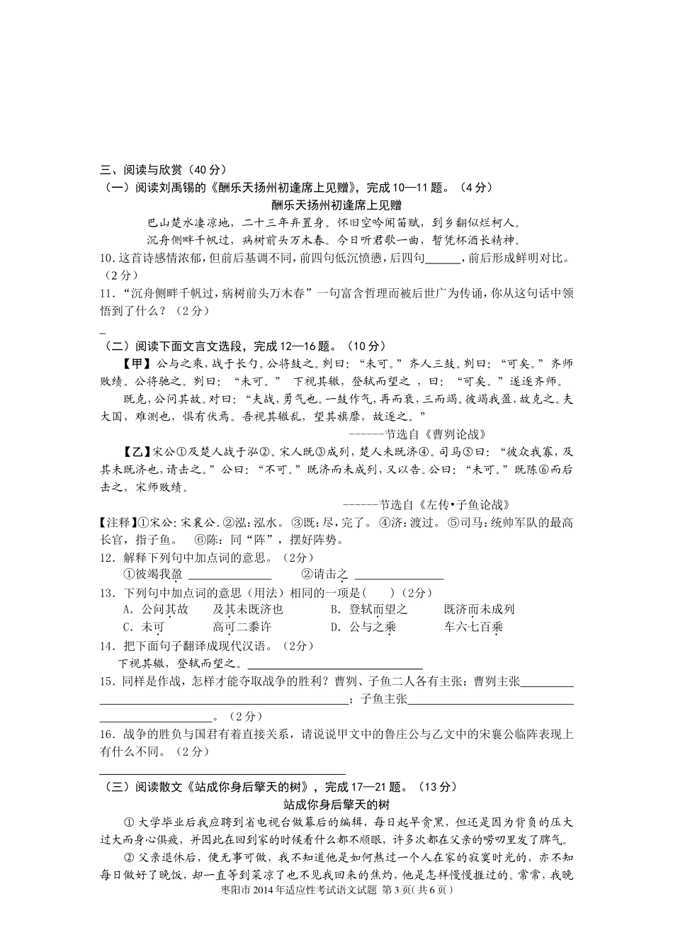 2014枣阳中考语文适应性试题（定稿）_第3页