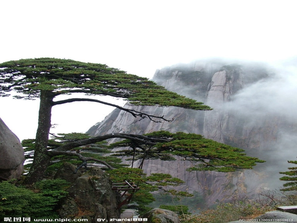 六上数学：分数除法（一）_第3页