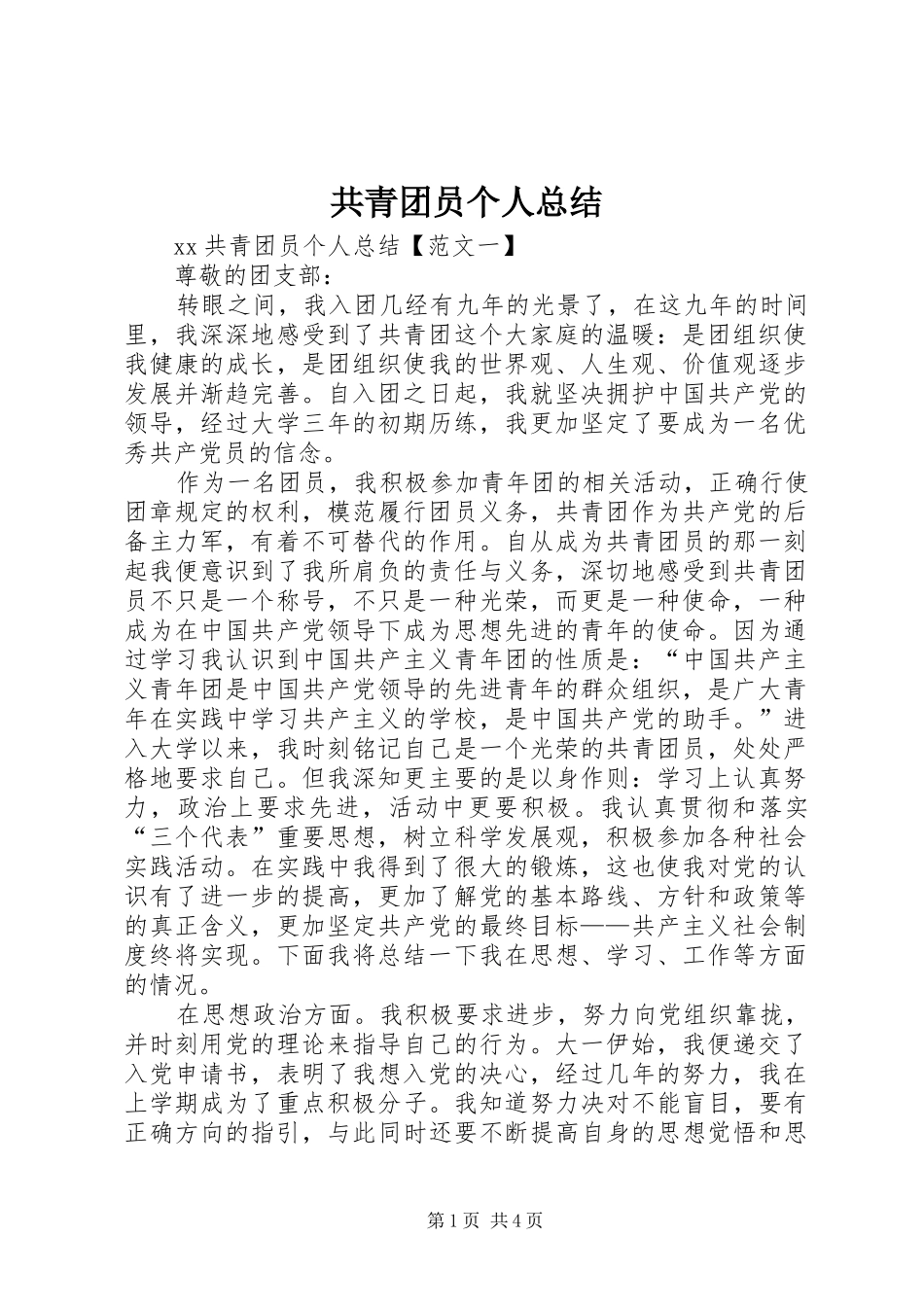 共青团员个人总结 _第1页