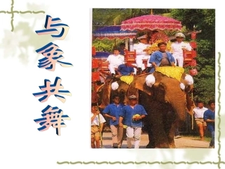 与象共舞课件 (2)