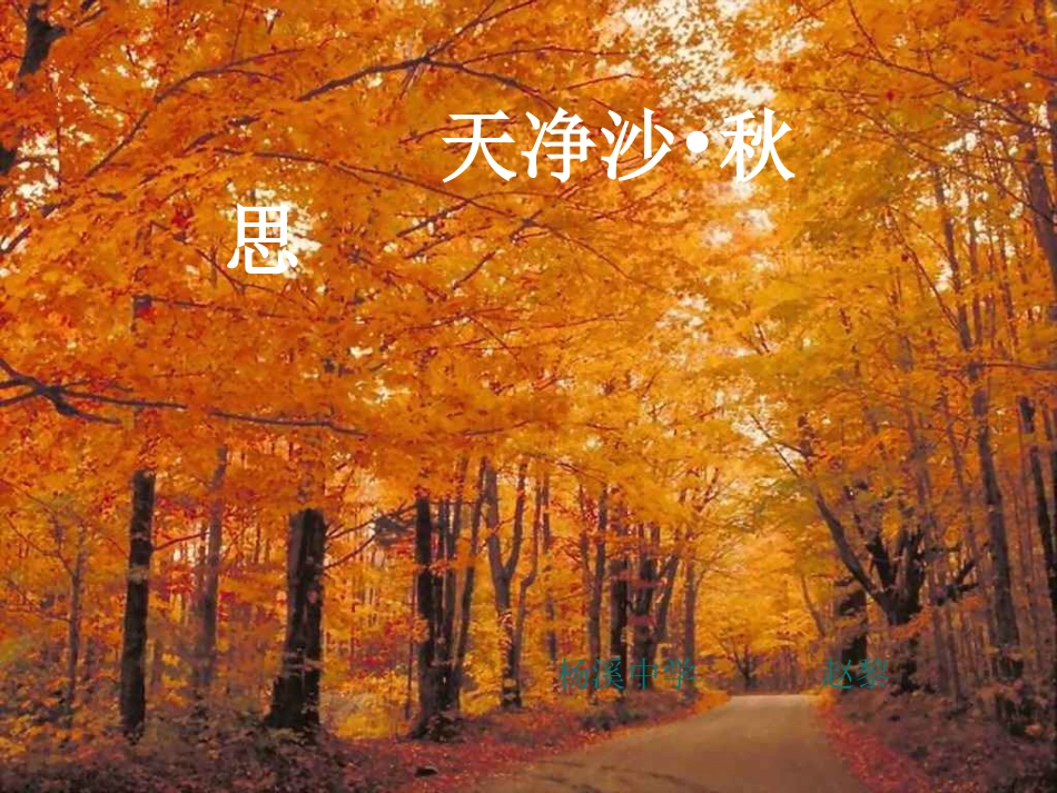 《天净沙秋思》湖北十堰杨溪中学_第1页