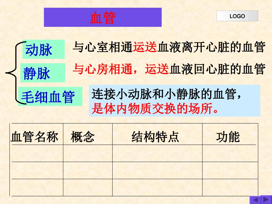 人体的血液循环_第2页