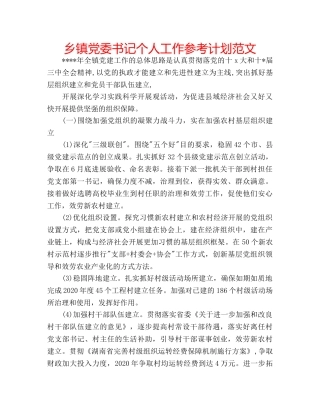 乡镇党委书记个人工作参考计划范文 