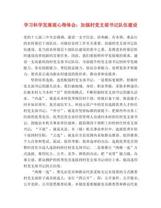 学习科学发展观心得体会：加强村党支部书记队伍建设 