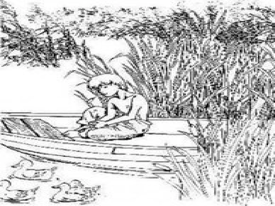 孤独之旅课件 (2)_第3页