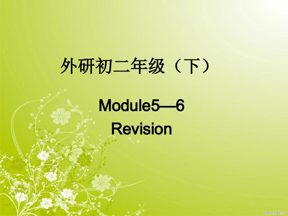 总复习外研初二（下）Module5-6_第1页