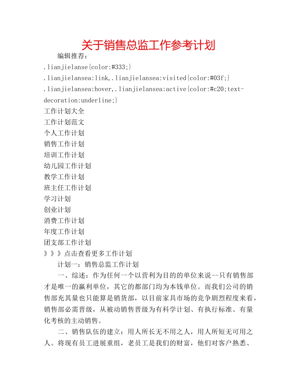关于销售总监工作参考计划 _第1页