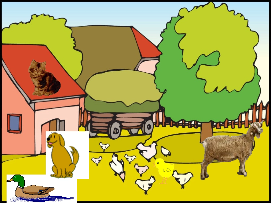 鄂教版小学科学五年级下册2《动物吃什么》课件_第2页