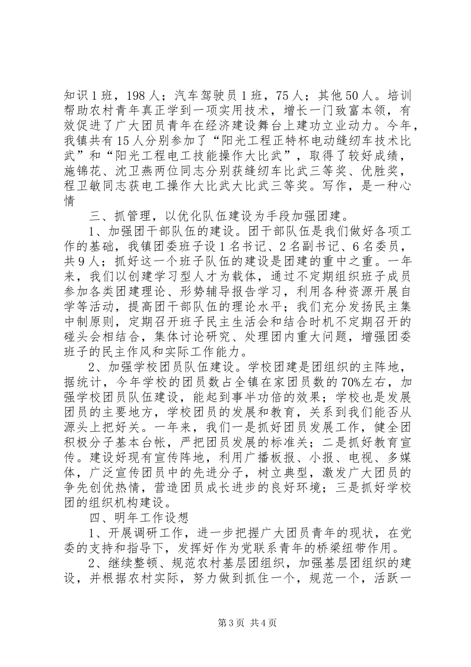 共青团委员会工作总结 _第3页