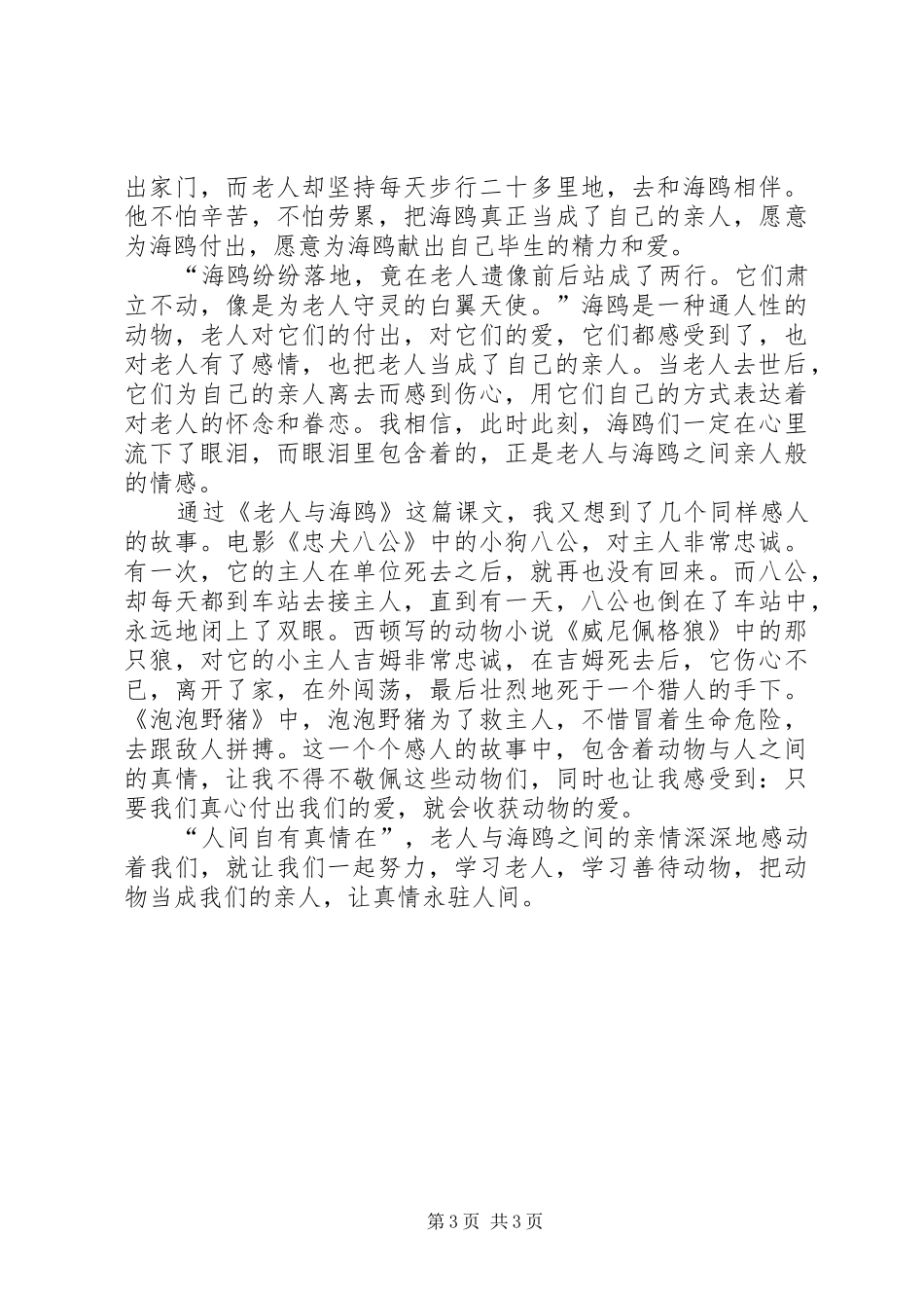 读老人与海鸥有感_第3页