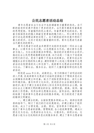公民志愿者活动总结 