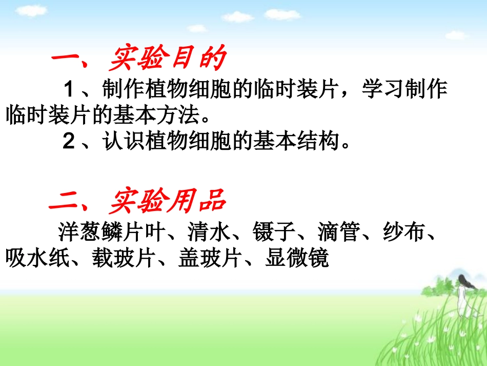 观察植物细胞课件_第2页