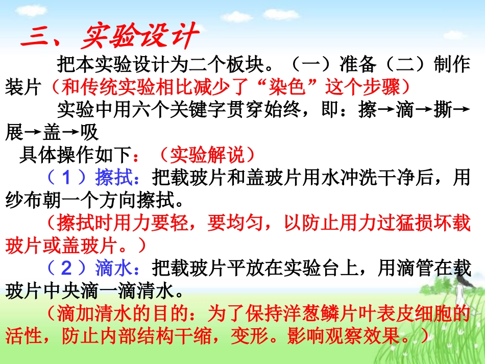 观察植物细胞课件_第3页