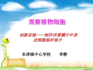 观察植物细胞课件