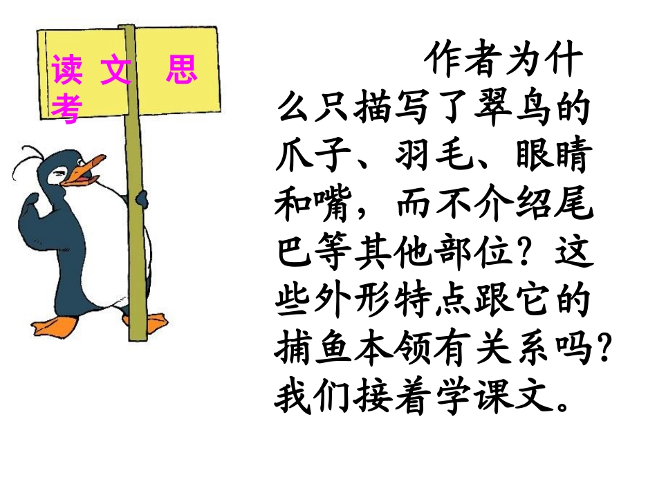 《翠鸟》课件 (2)_第3页