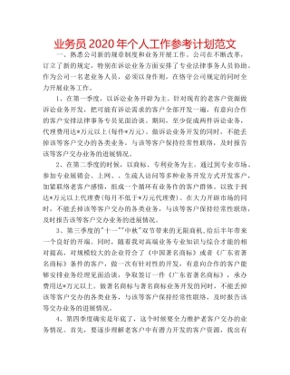 业务员2020年个人工作参考计划范文 
