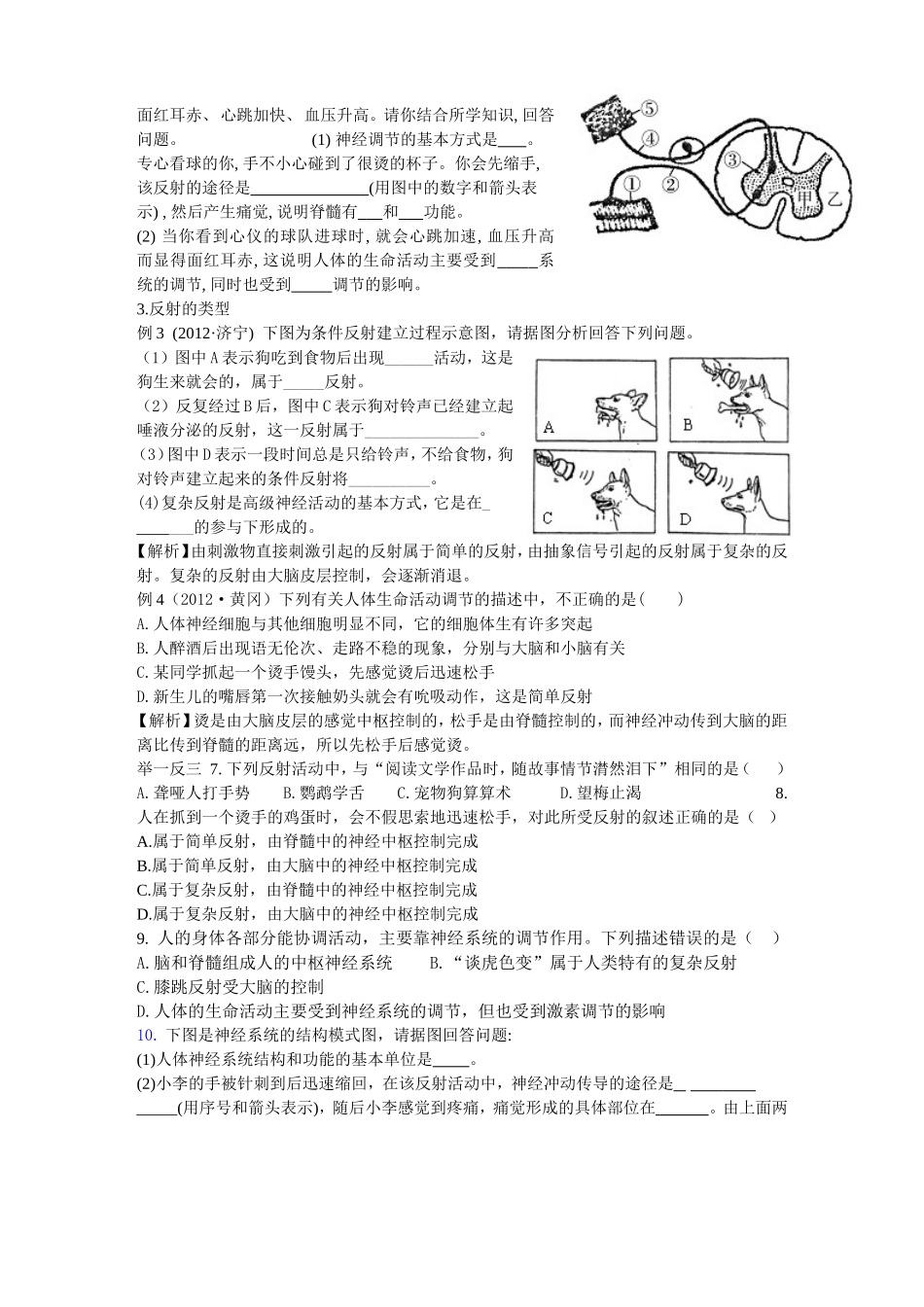 人体生命活动的调节_第3页