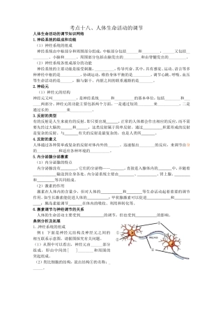 人体生命活动的调节