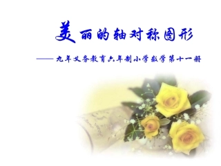 新人教版六年级上册轴对称图形