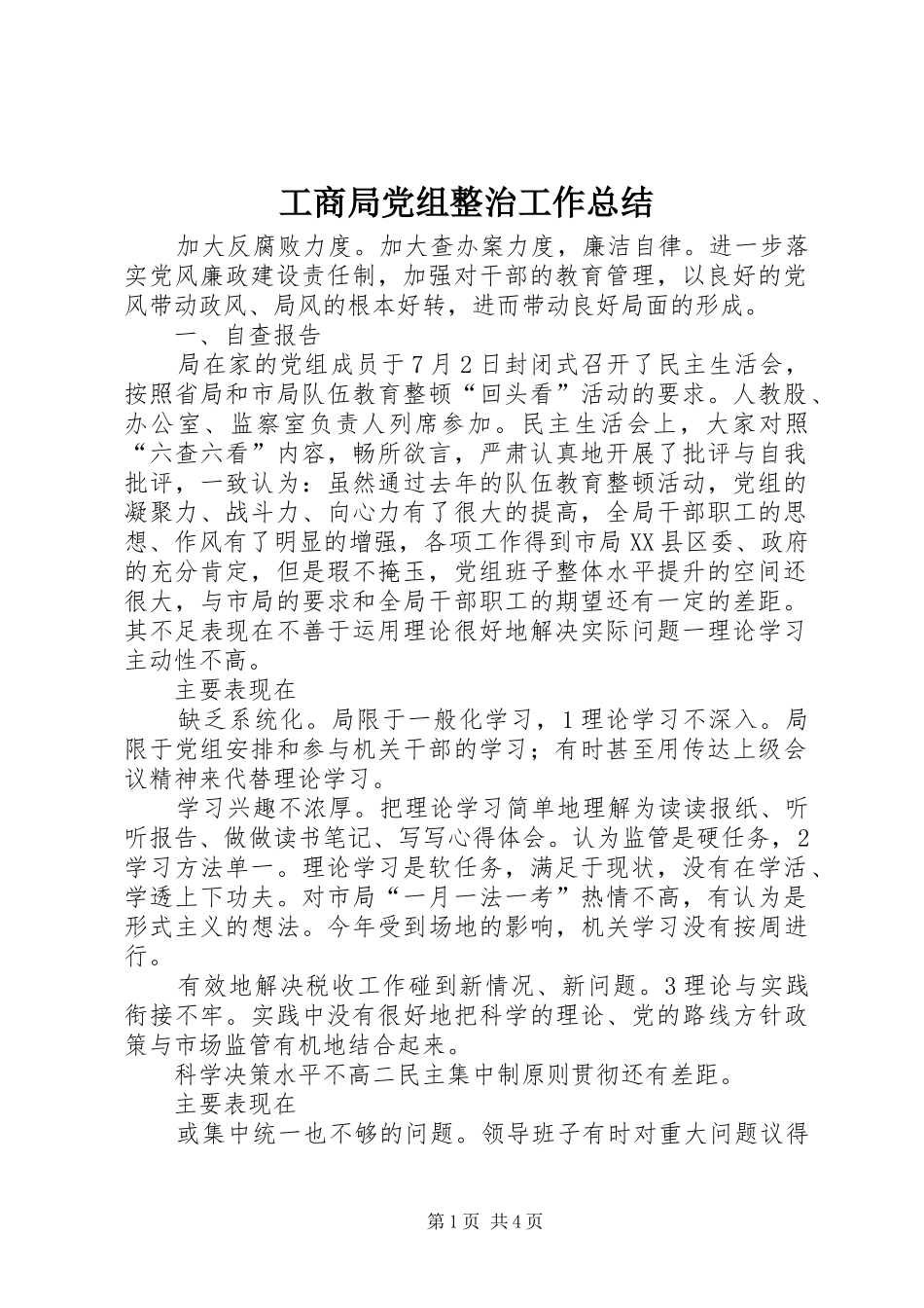 工商局党组整治工作总结 _第1页