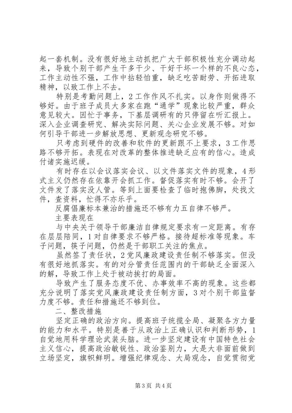 工商局党组整治工作总结 _第3页