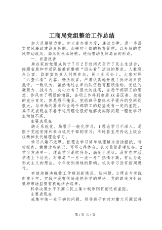 工商局党组整治工作总结 