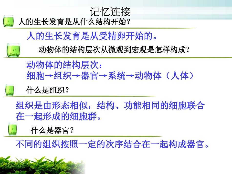 (新人教版)植物体的结构层次_第2页
