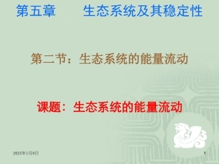 生物人教版必修三第五章第2节生态系统的能量流动