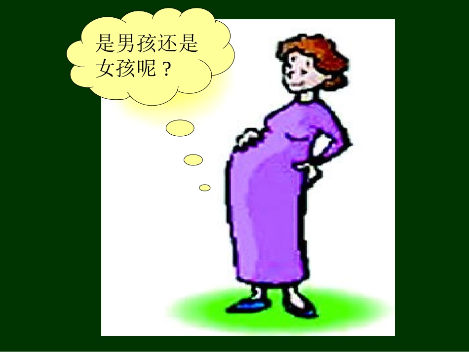 人的性别遗传课件_第2页