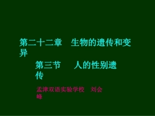 人的性别遗传课件