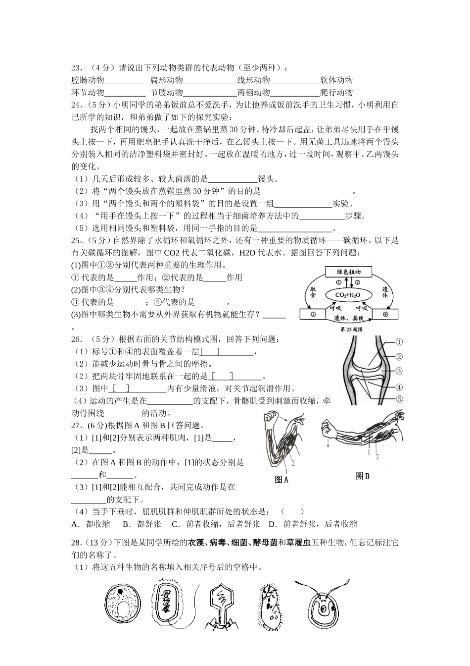 2013新人教版_八年级上册生物期末试卷_第3页